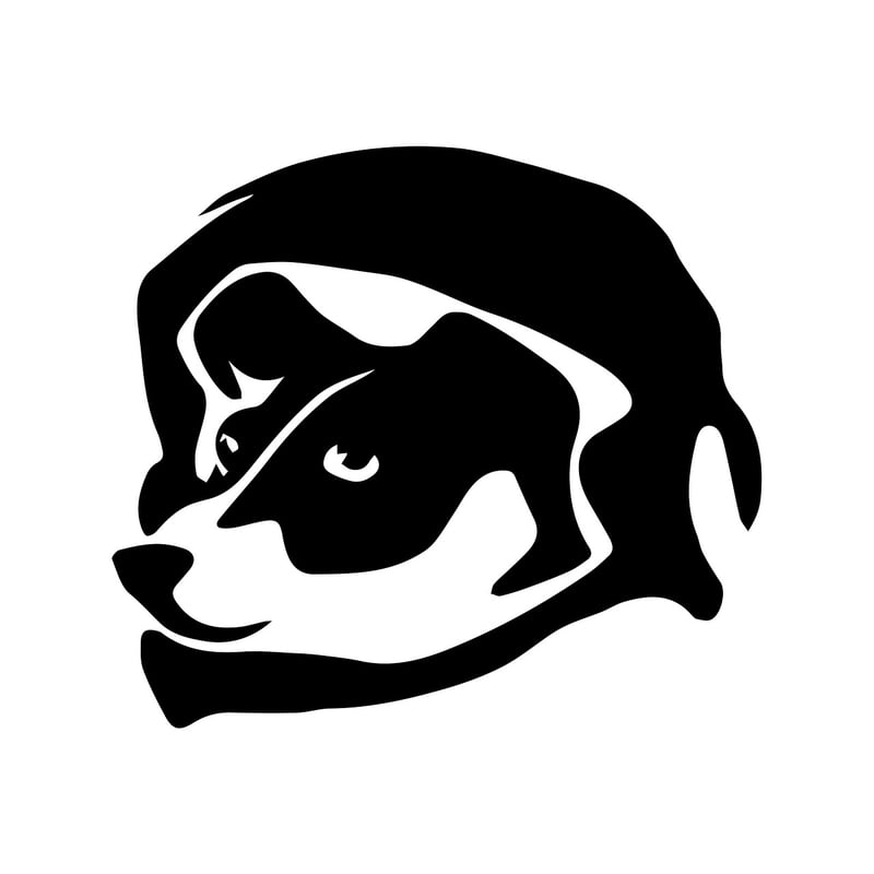Brand Identity Development